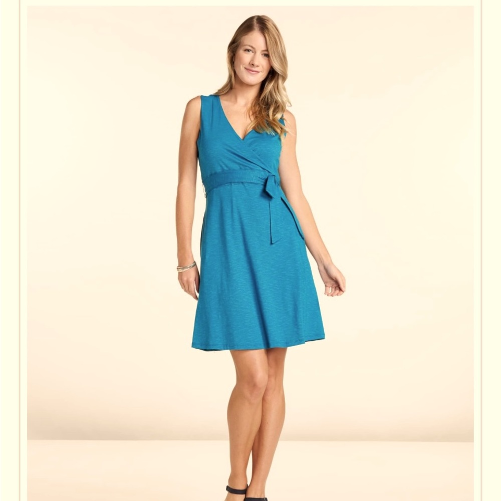 Toad&Co Wellington Blue Cue Dress
